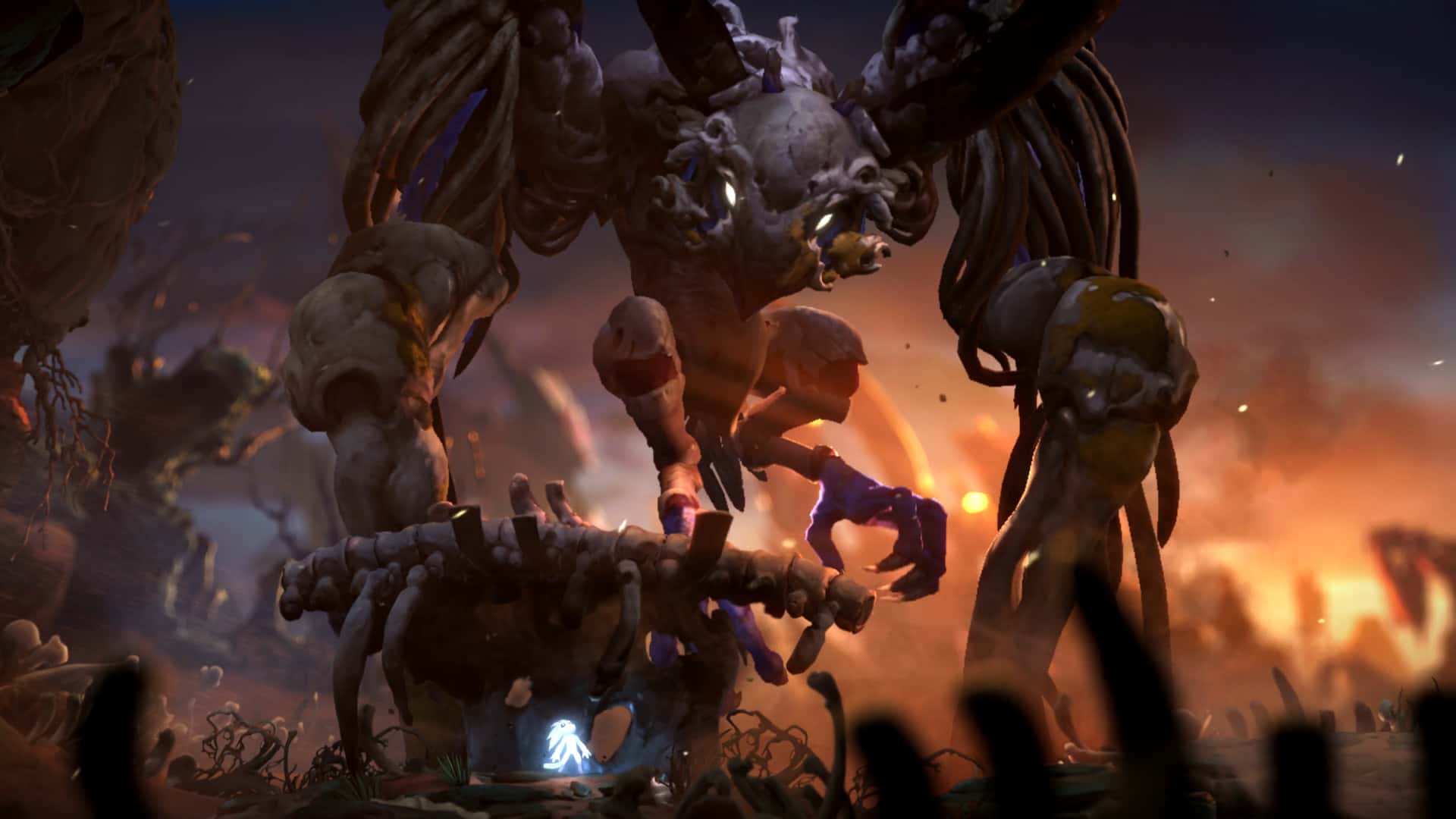 奥日与鬼火意志 精灵与萤火意志 Ori and the Will of the Wisps B.5780606 中文版